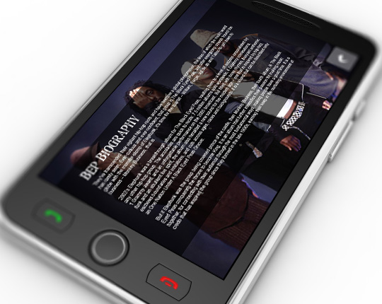 Example music bundle biography